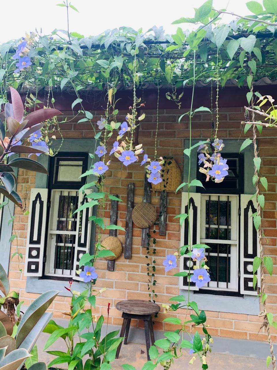 Ashok Villa 웰리가마 외부 사진